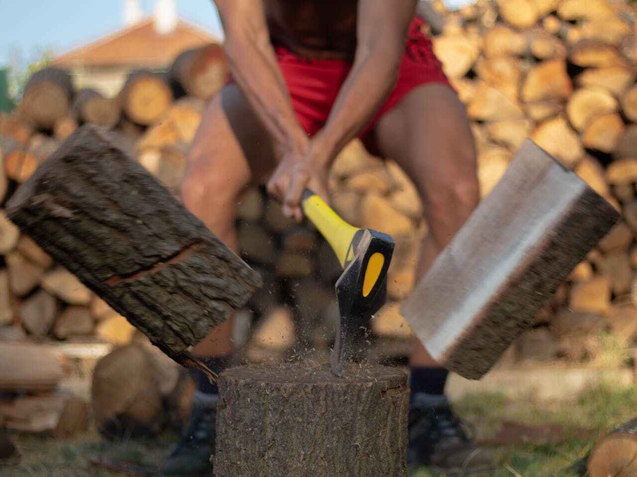 Emergency Storm Tree Removal in Britton, SD